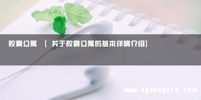 胶囊公寓 (关于胶囊公寓的基本详情介绍)